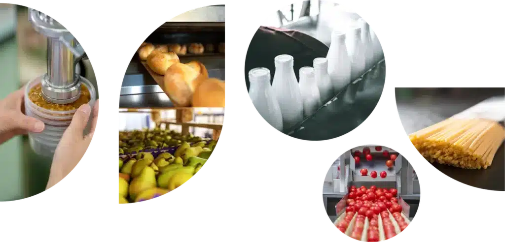 Agri-food supply chain