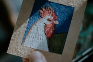 Rooster